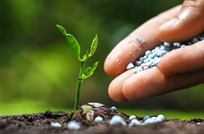 Fertilizers
